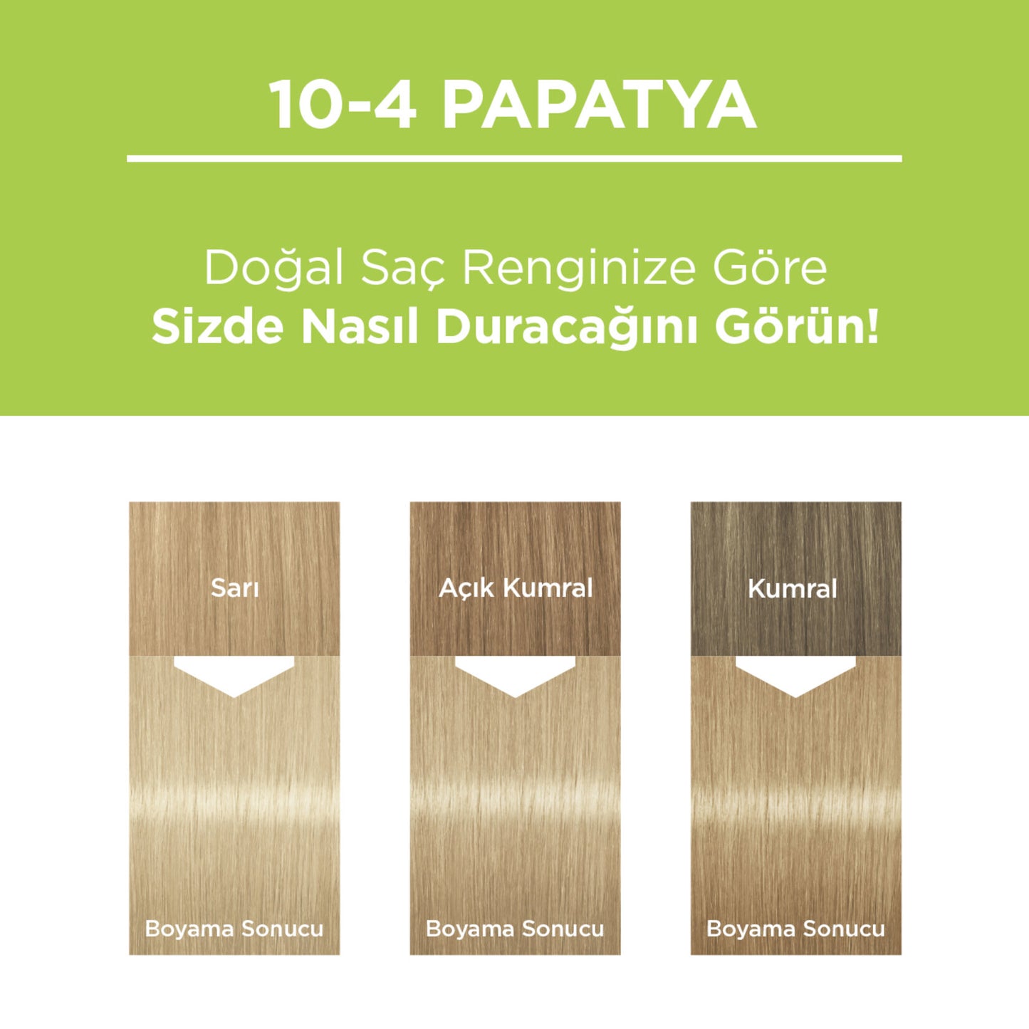 Palette Kalıcı Doğal Renkler 10-4 Papatya 110 Ml