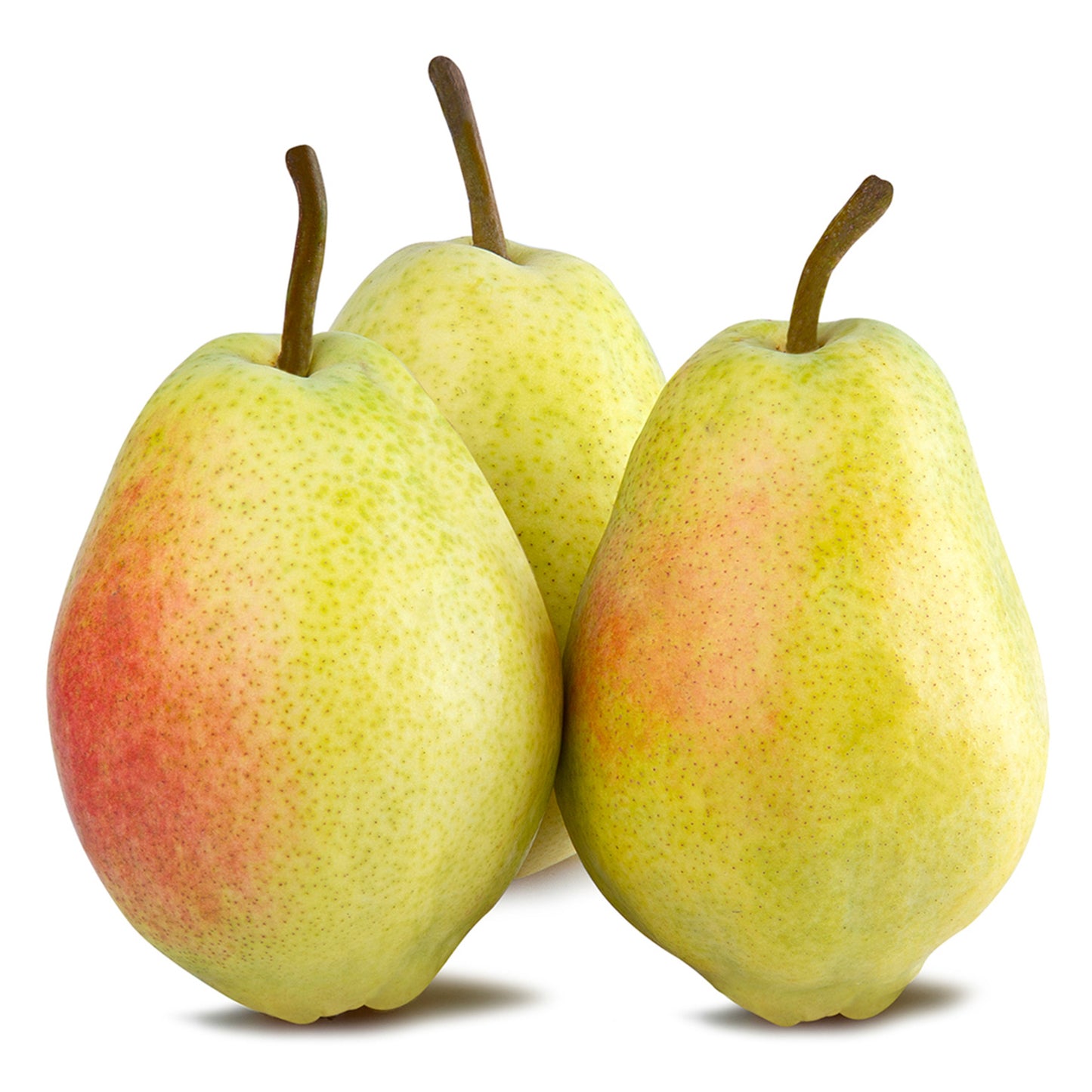 Armut 1 Kg