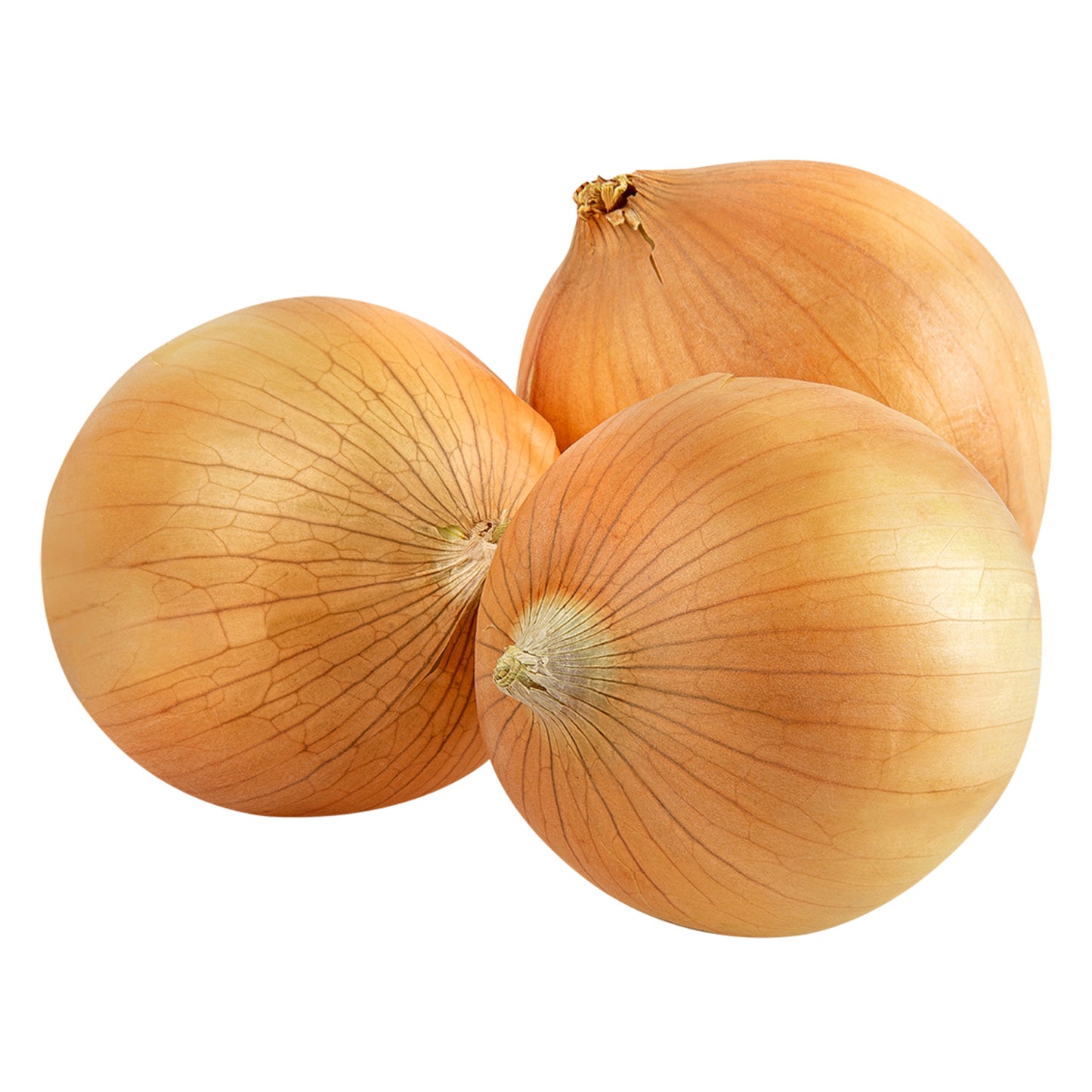 Soğan Kuru 1 Kg