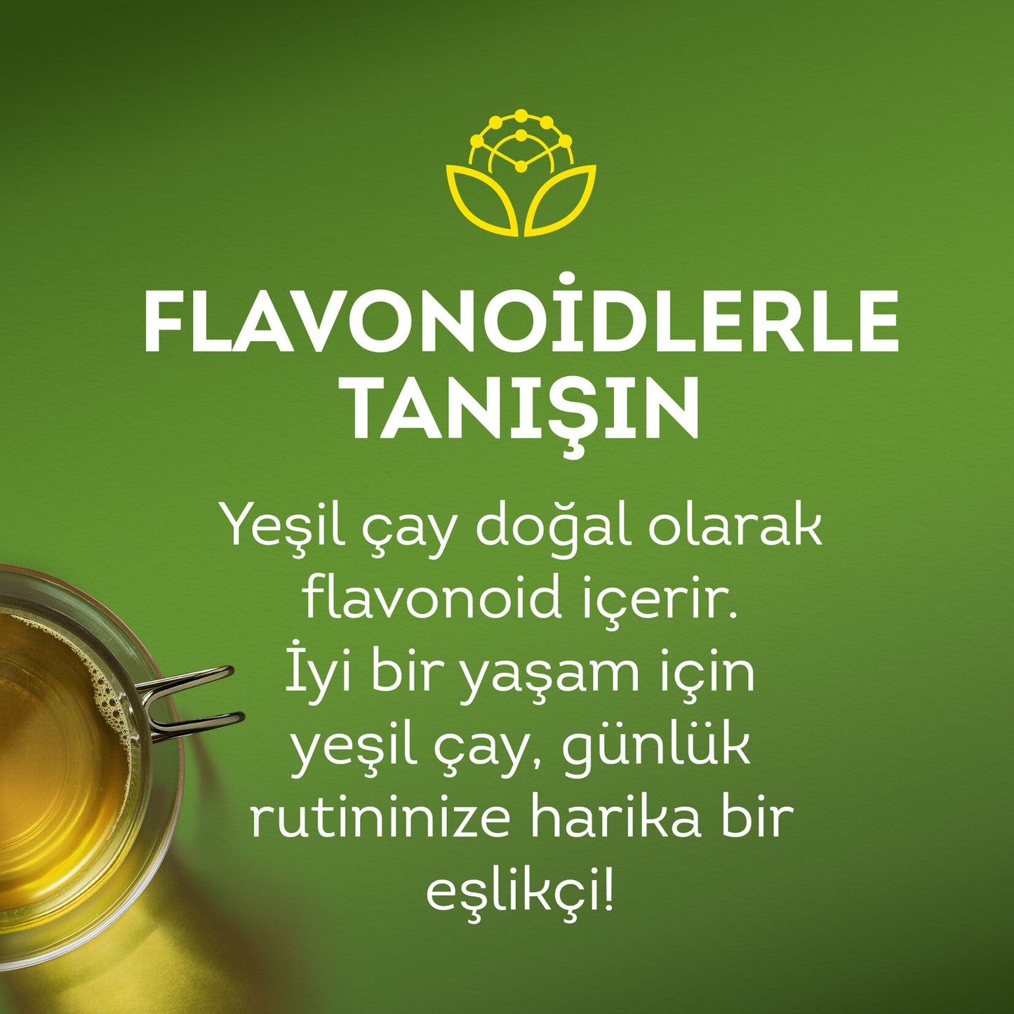Lipton Yeşil Çay Bardak Poşet 20'li 30 G