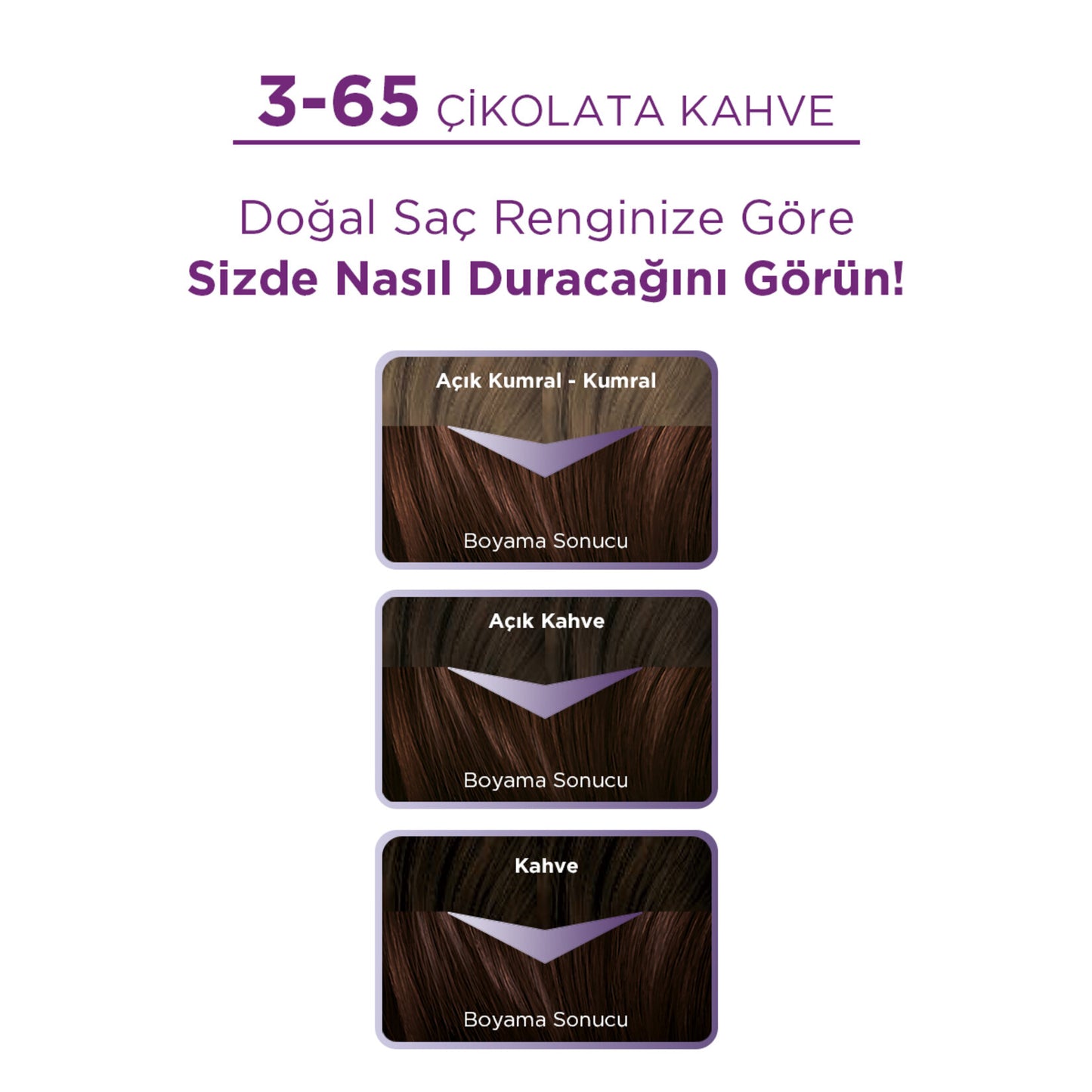 Palette Göz Alıcı Renkler 3-65 Çikolata Kahve Saç Boyası 110 Ml