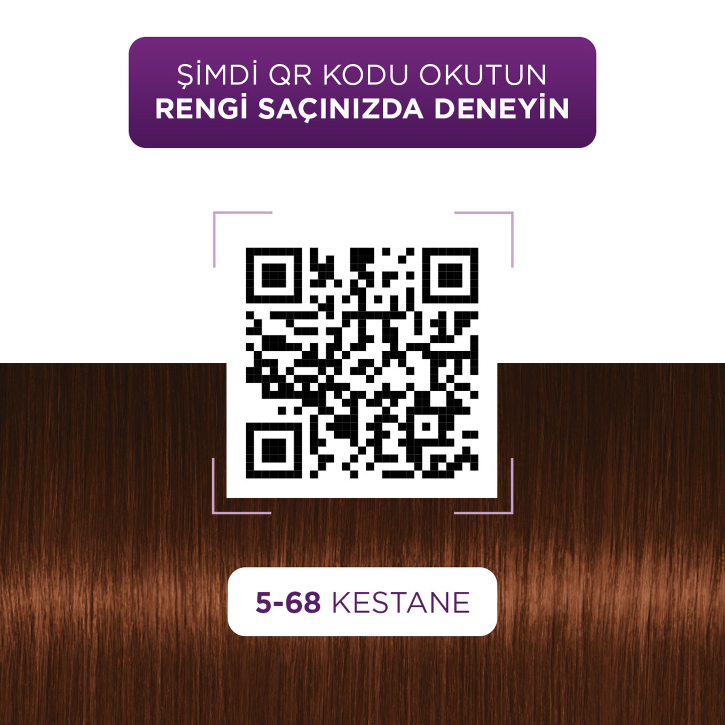 Palette Göz Alıcı Renkler 5-68 Kestane Saç Boyası 110 Ml