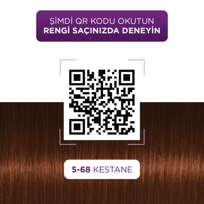 Palette Göz Alıcı Renkler 5-68 Kestane Saç Boyası 110 Ml