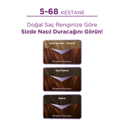 Palette Göz Alıcı Renkler 5-68 Kestane Saç Boyası 110 Ml