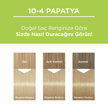 Palette Kalıcı Doğal Renkler 10-4 Papatya 110 Ml