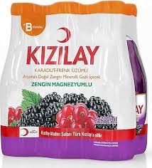 Kızılay Karadut-Frenk Üzüm Aromalı Maden Suyu 6 x 200 ml