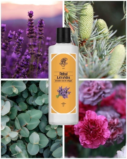 Rebul Lavanda EDC Kolonya 250 ml Cam Şişe