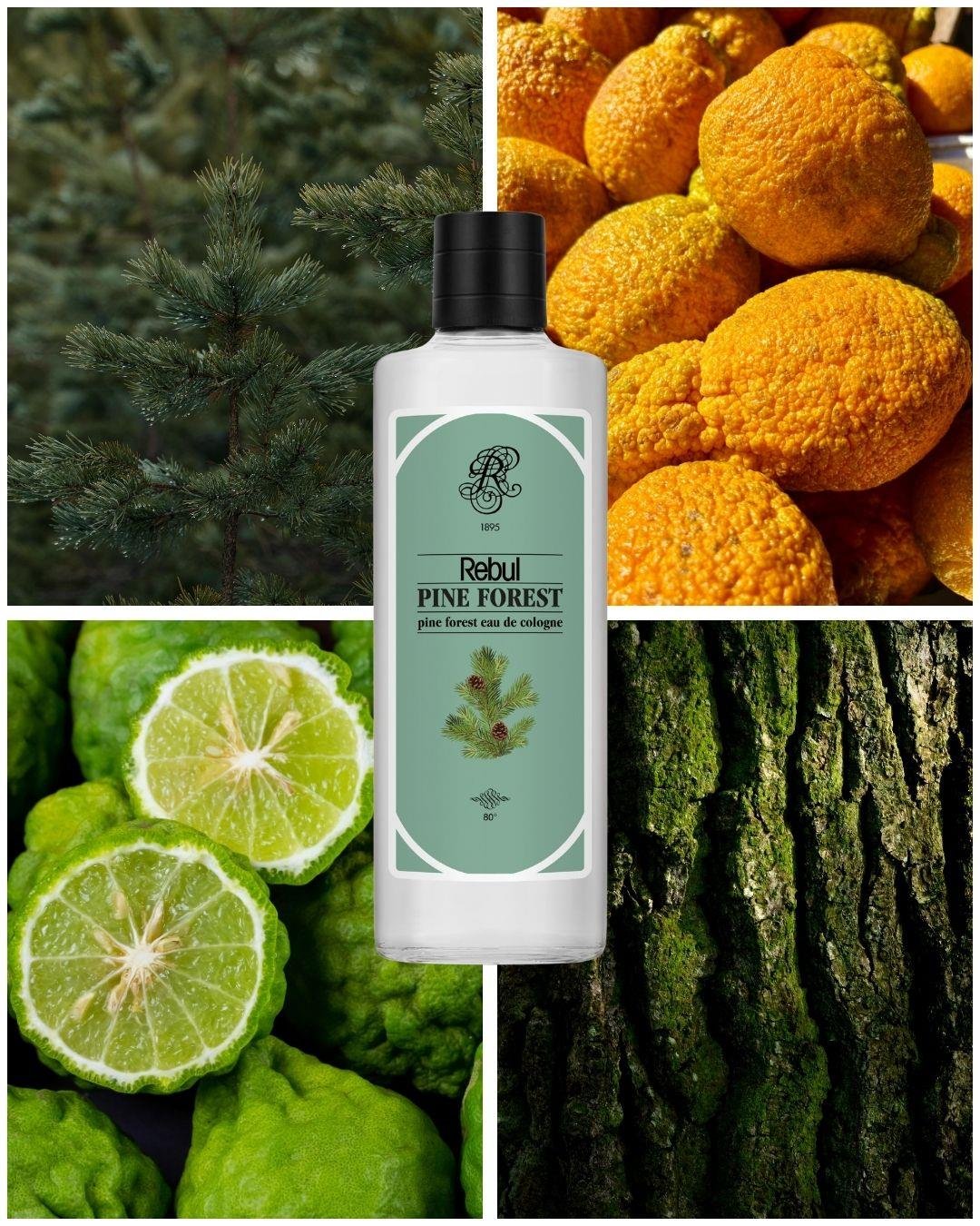 Rebul Pine Forest EDC Kolonya 250 ml Cam Şişe