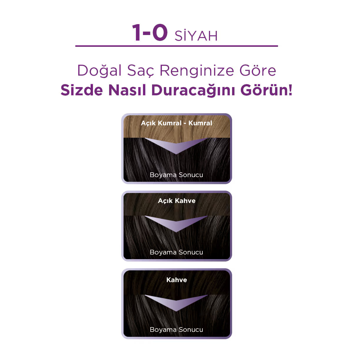 Palette Göz Alıcı Renkler 1-0 Siyah Saç Boyası 110 Ml