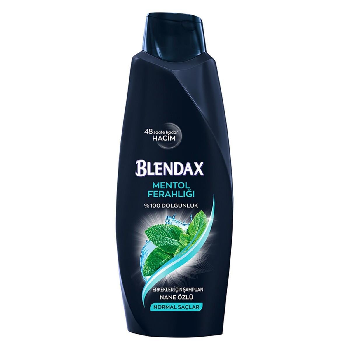 Blendax Menthol Ferahlığı Nane Özlü Şampuan 500 ml